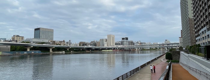 Sumida-Gawa Terrace is one of 荒川・墨田・江東.