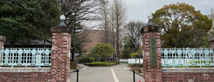 Tokyo University of the Arts is one of 大学.