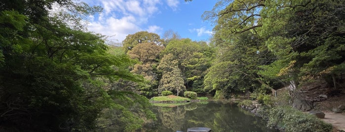 Sanshiro Pond is one of Tokyo.