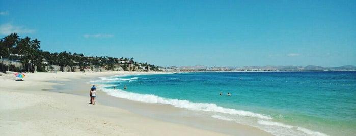 Palmilla Beach is one of Posti che sono piaciuti a Araceli.