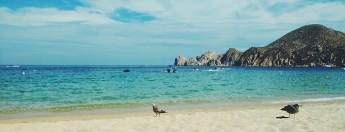 Playa El Médano is one of Tempat yang Disukai Araceli.