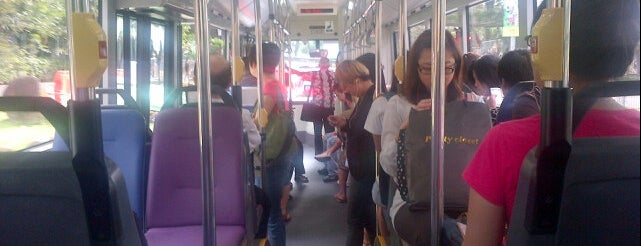Tower Transit: Bus 169 is one of SMRT Bus Services.