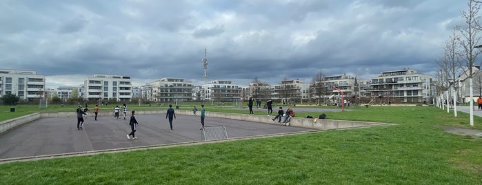 Bürgerpark is one of Best sport places in Düsseldorf.