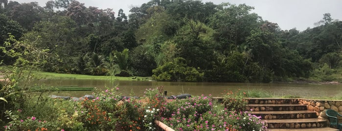 Termales Don Grimaldo is one of Tarapoto.