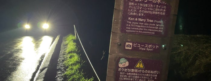 ケンとメリーの木 is one of 北海道.