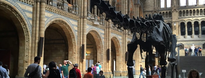 Natural History Museum is one of Jordiさんのお気に入りスポット.