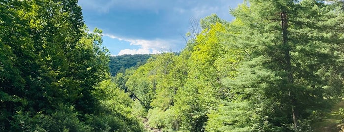 Catskills is one of Aya'nın Beğendiği Mekanlar.