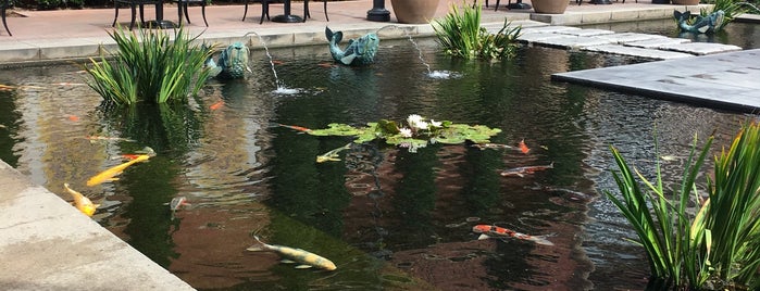 Koi Pond is one of Orte, die Ryan gefallen.