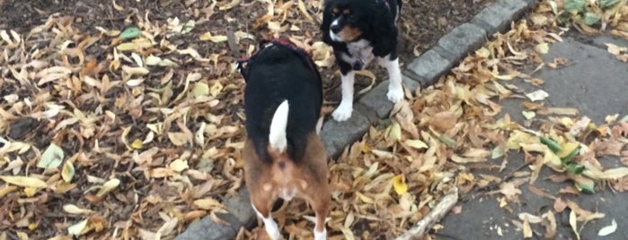 Howard Street Dog Park is one of Jason’s Liked Places.