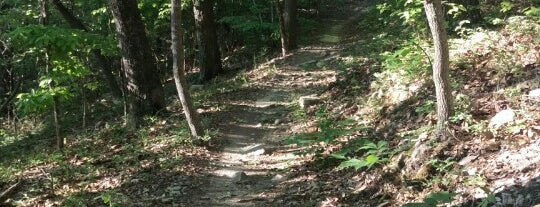 Coldwater Mountain Bike Trails is one of Lugares favoritos de Stephen.