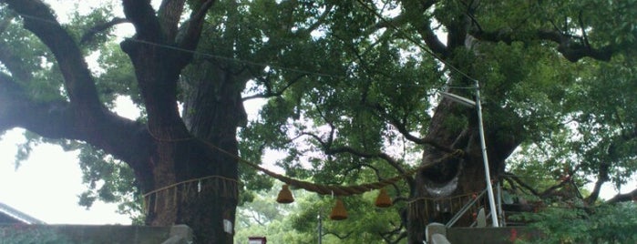 Sanno Shrine is one of 長崎市 観光スポット.