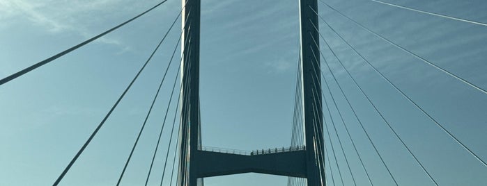 Megami-Ohashi Bridge is one of 土木学会田中賞受賞橋.