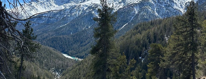 Nationalpark Schweiz is one of Svájc.