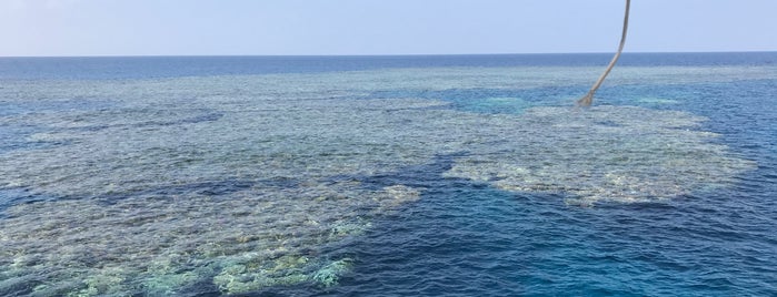 Mochara Rim is one of Marsa Alam .. The Pure Nature.