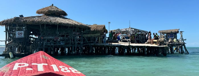 Pelican Bar is one of Nightlife 2 Bars Mixology.