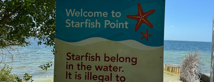 Starfish Point is one of Grand Cayman.