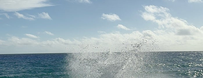 Blow Holes is one of grand cayman.