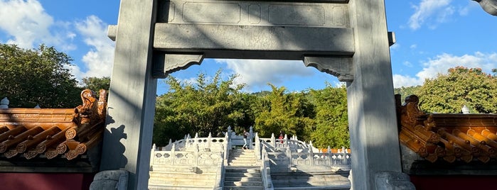 Hope Botanical Gardens is one of All-time favorites in Jamaica.