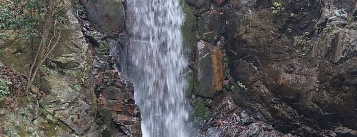 Tsuzumigataki Waterfall is one of Kansai Trip.