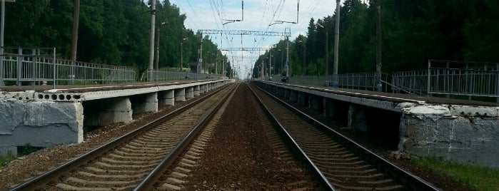 Ж/Д платформа 43 км is one of Вокзалы и станции Ярославского направления.