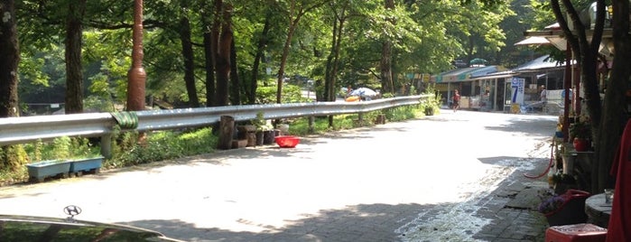 구룡산장 is one of 강원도의 게스트하우스 / Guest Houses in Gangwon Area.