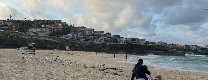 Bronte Beach is one of Sydney's best spots.