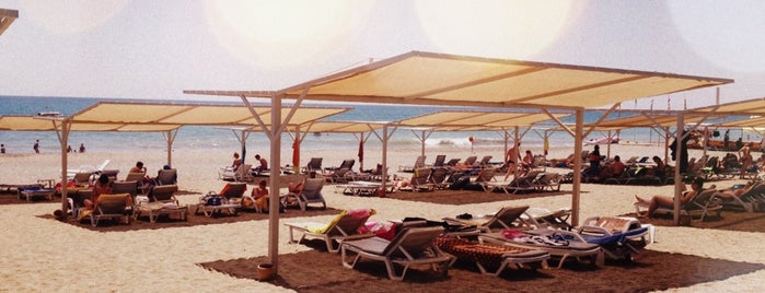 Club Turtaş Beach Hotel is one of Türkei.