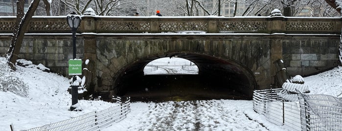 Greyshot Arch is one of Central Park.