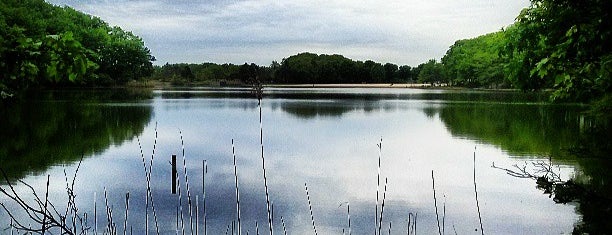 Cheesequake State Park is one of Chirayu's Saved Places.