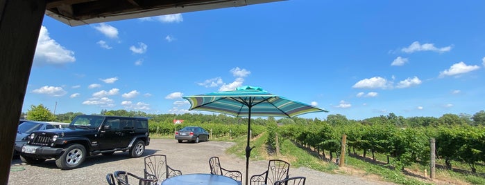 The Ice House Winery is one of Winery.