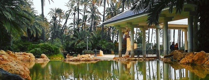 Parque El Palmeral is one of Humairaさんの保存済みスポット.