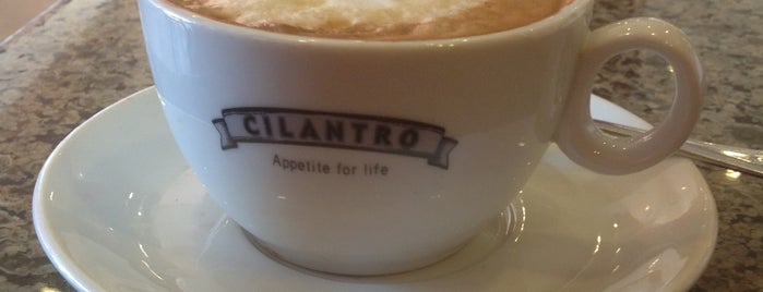 Cilantro is one of cafes.