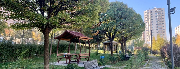 Gül Parkı is one of Park.