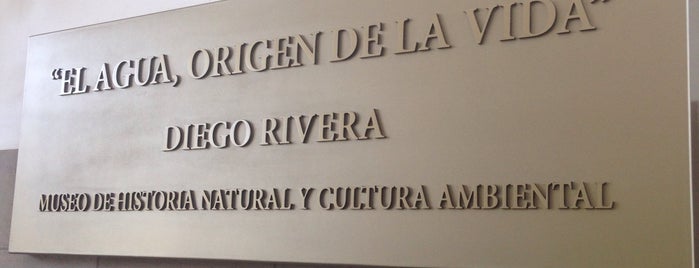 Museo de Historia Natural y Cultura Ambiental is one of df.