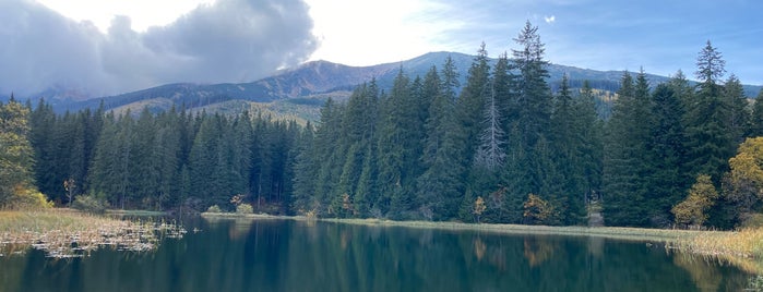 Vrbické pleso is one of Slovakia.