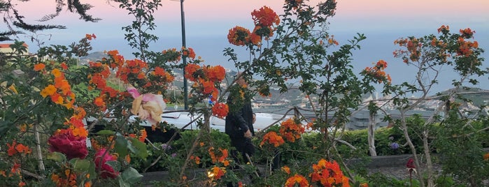 Restaurante Adega Da Quinta is one of Madeira Eating.