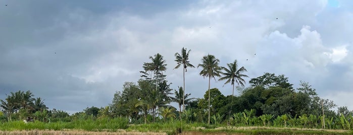 Pertiwi Quad Adventure is one of Bali, Republic of Indonesia.