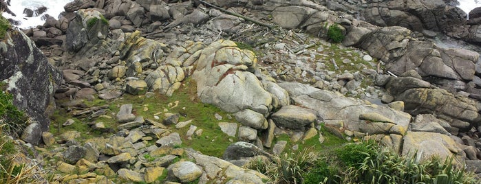 seal colony is one of Lugares favoritos de Sophie.