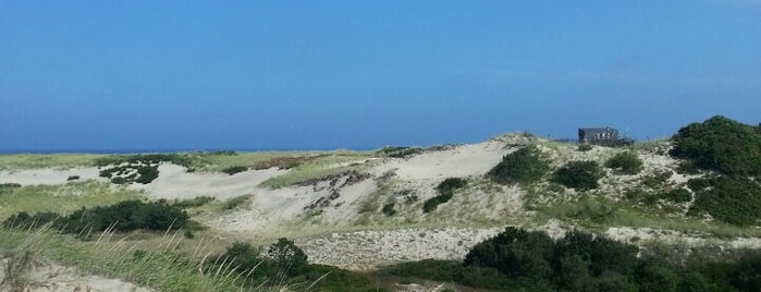 Art's Dune Tours is one of Cape Cod.