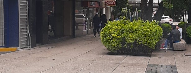 OXXO is one of Mexico City.