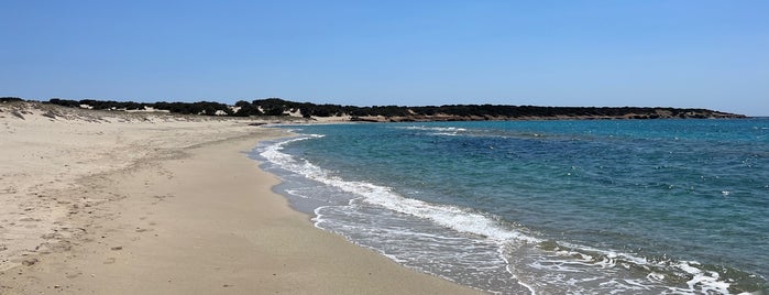 Glifada Windsurfing Beach is one of Naxos playas.