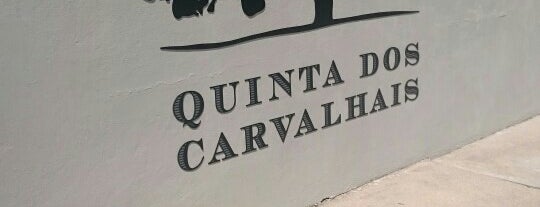 Quinta dos Carvalhais is one of Portuguese Wine.