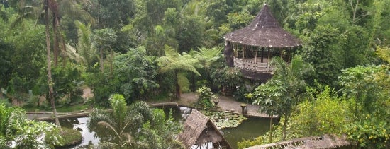 Desa Wisata Pentingsari is one of Worth places to be visiting.