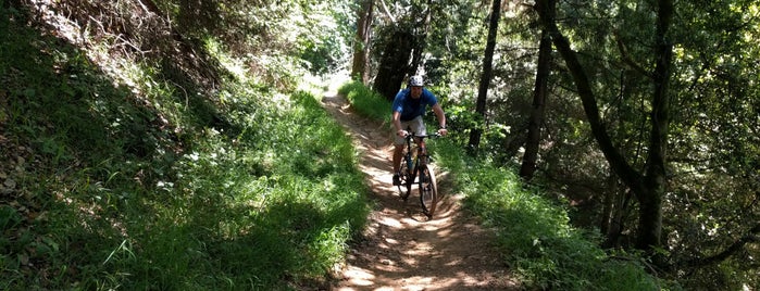 Palos Colorados Trail is one of Posti che sono piaciuti a Angela.