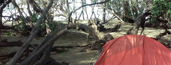 Camp Olowalu is one of สถานที่ที่บันทึกไว้ของ Ryan.