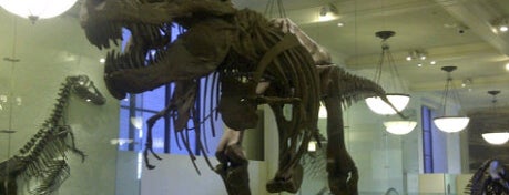 Museo Americano de Historia Natural is one of New York 2012.