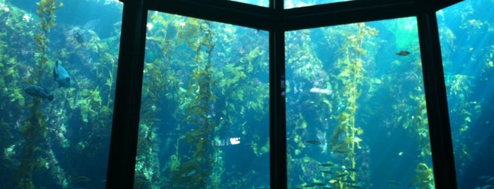 Monterey Bay Aquarium is one of Central Coast, CA.