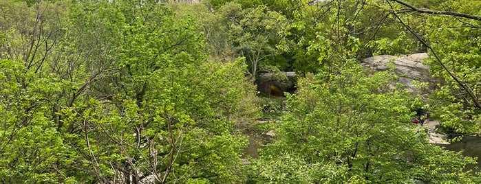 Hallett Nature Sanctuary is one of PLACES TO TAKE YOUR GUESTS IN NYC.