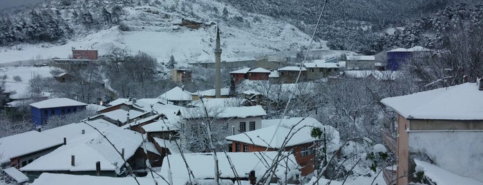 Misi is one of สถานที่ที่ GÜLTEN ถูกใจ.