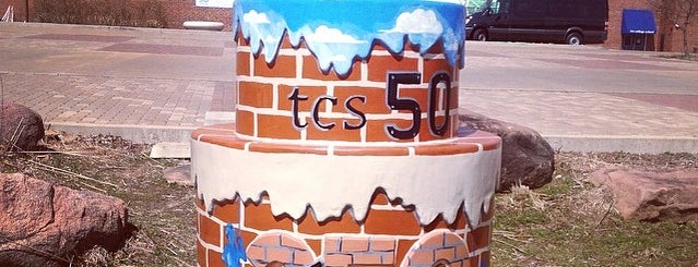 The College School is one of #STL250 Cakes (Inner Circle).